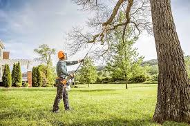 Best Fruit Tree Pruning  in Heartland, TX